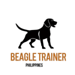 Beagle_Trainer_PH_Logo